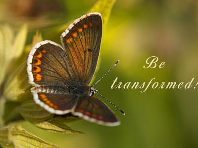 Your Fallen Nature Can’t Be Trained – It Must Be&nbsp;Crucified