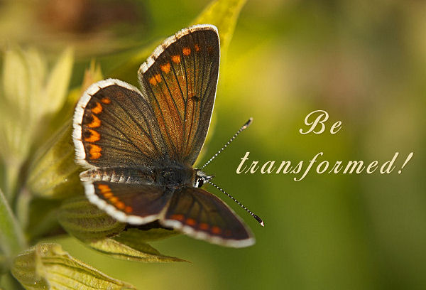 Your Fallen Nature Can’t Be Trained – It Must Be&nbsp;Crucified