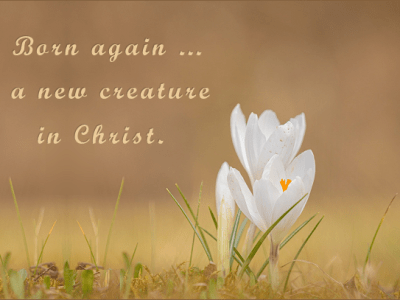 Which Law Are You&nbsp;Under?