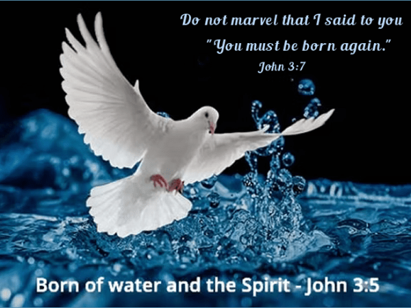 The Experience You Must Have To Be&nbsp;Saved