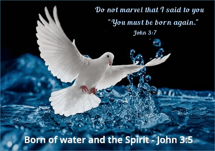 The Experience You Must Have To Be Saved