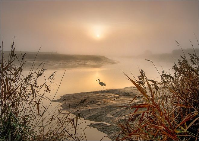 Unquestioning Obedience – Articles For The Christian Reader