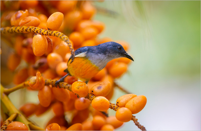 Why The World Is&nbsp;Corrupt