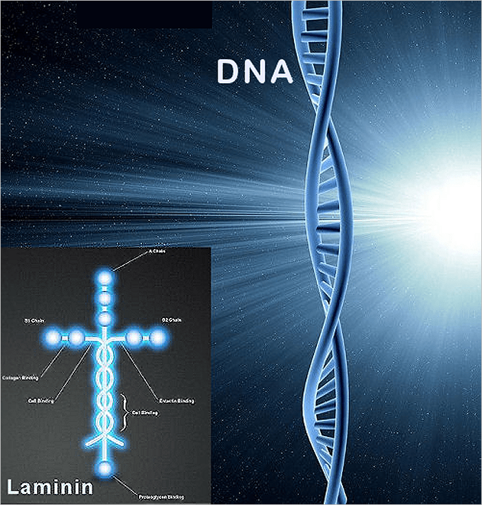 April Fools – Rightly So Called