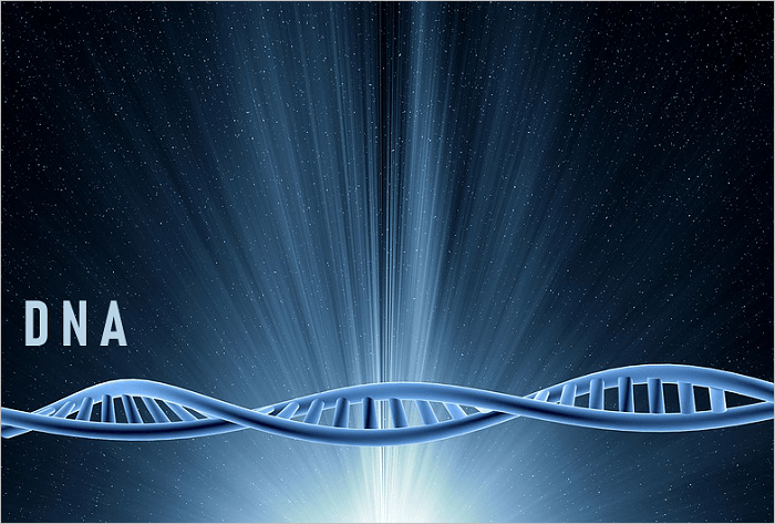 Evolution – ‘Science Falsely So&nbsp;Called’