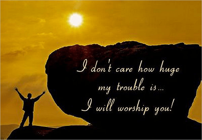 I Will Worship&nbsp;You