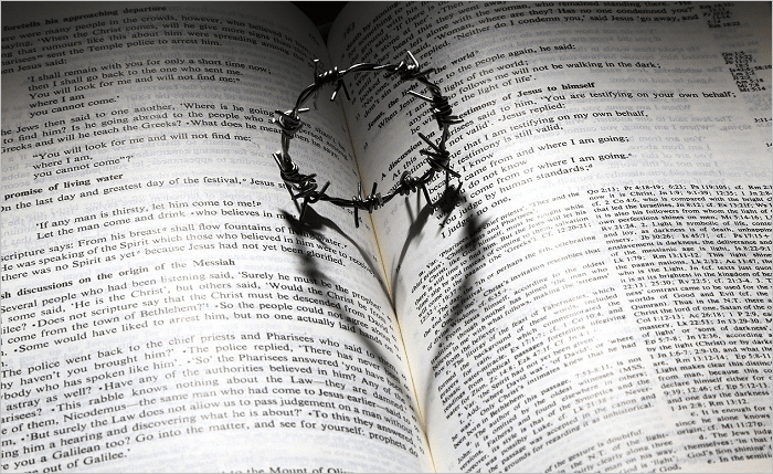 There Is A Glorious Purpose For It&nbsp;All