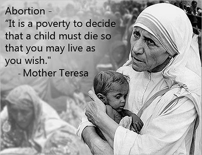 The Fertilized Cell Of A Human Embryo Is&nbsp;Eternal