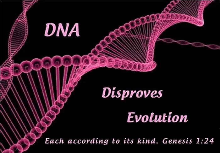 The Greatest Insult One Can Give To&nbsp;God