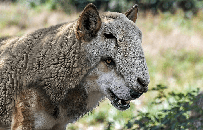 Are You Listening To False Prophets Or False&nbsp;Teachers?