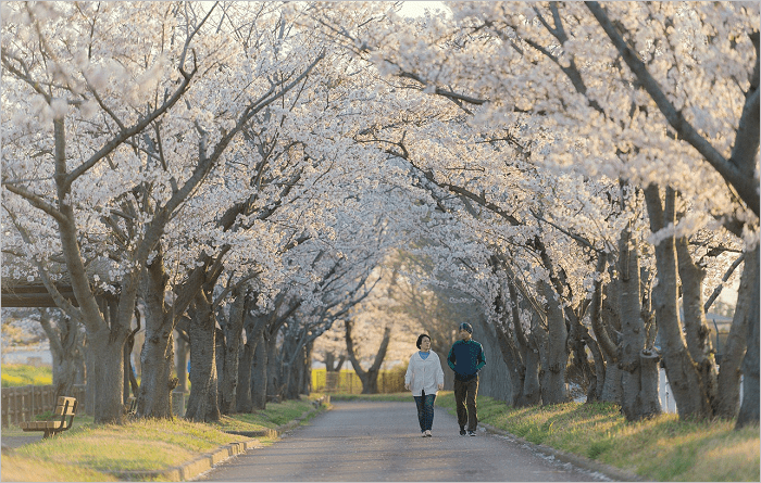 Oh Come And Walk With The Lord With Me