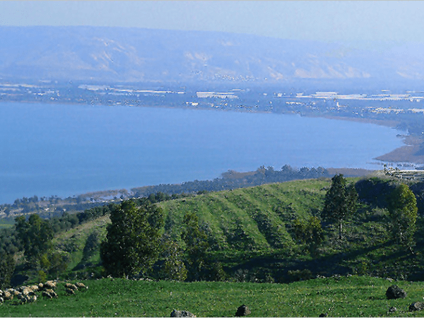 A Promise From God If You Meet This&nbsp;Condition