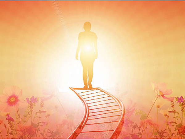 The Journey To&nbsp;Forgiveness