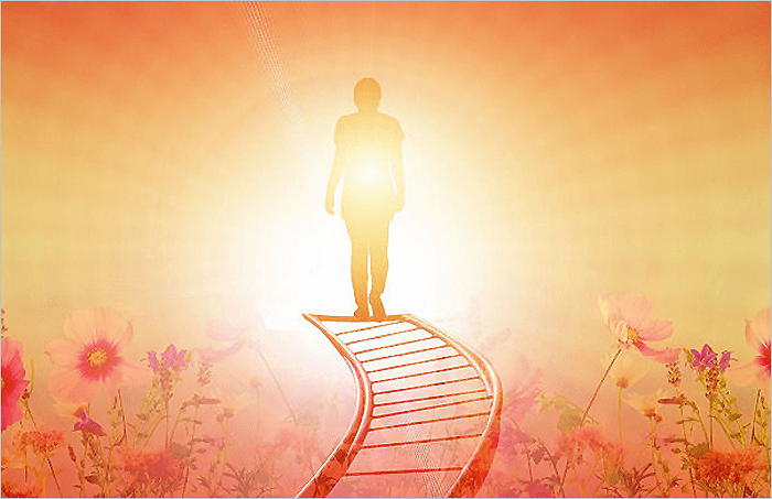 The Journey To&nbsp;Forgiveness