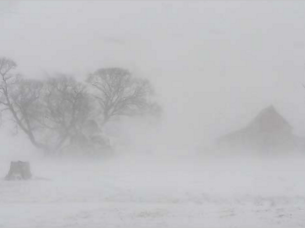 In A Christmas&nbsp;Storm