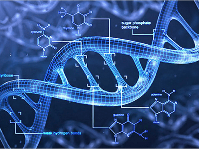 The Theory vs The&nbsp;Fact