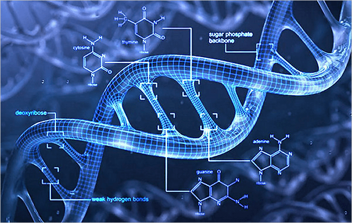 The Theory vs The&nbsp;Fact