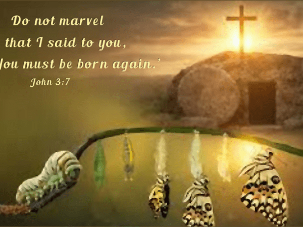 The Lie We Tell Ourselves And The Truth That Exposes&nbsp;It