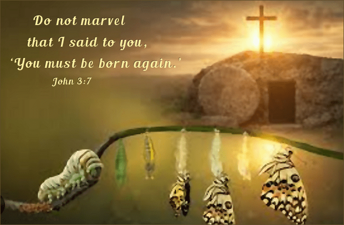 The Lie We Tell Ourselves And The Truth That Exposes It