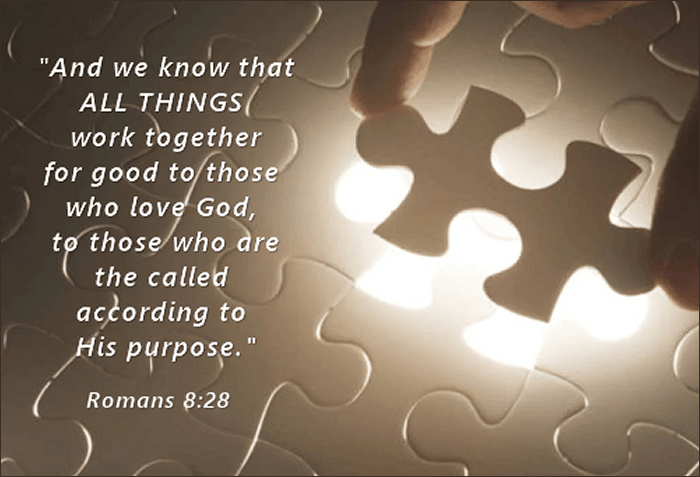 Would I Do It&nbsp;Again?