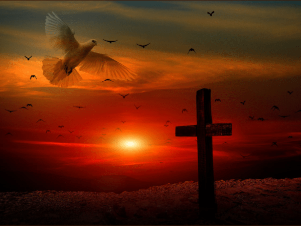 Do All You Can For That One Out Of&nbsp;Many