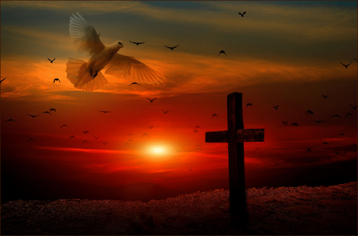 Do All You Can For That One Out Of&nbsp;Many