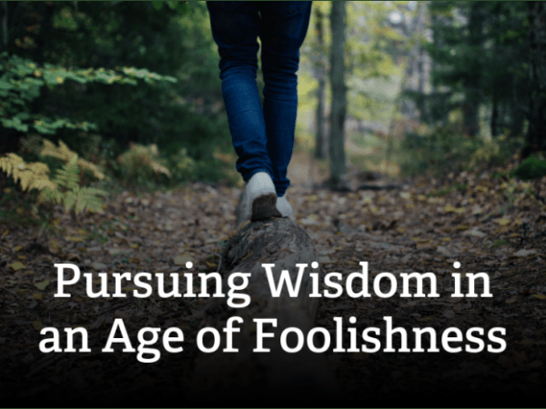 Foolishness Portrayed As&nbsp;Wisdom