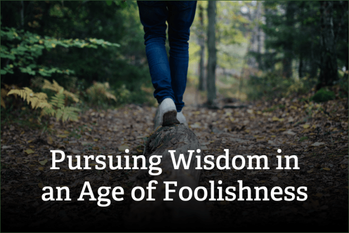 Foolishness Portrayed As&nbsp;Wisdom