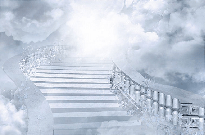 Is The Cost Worth It?